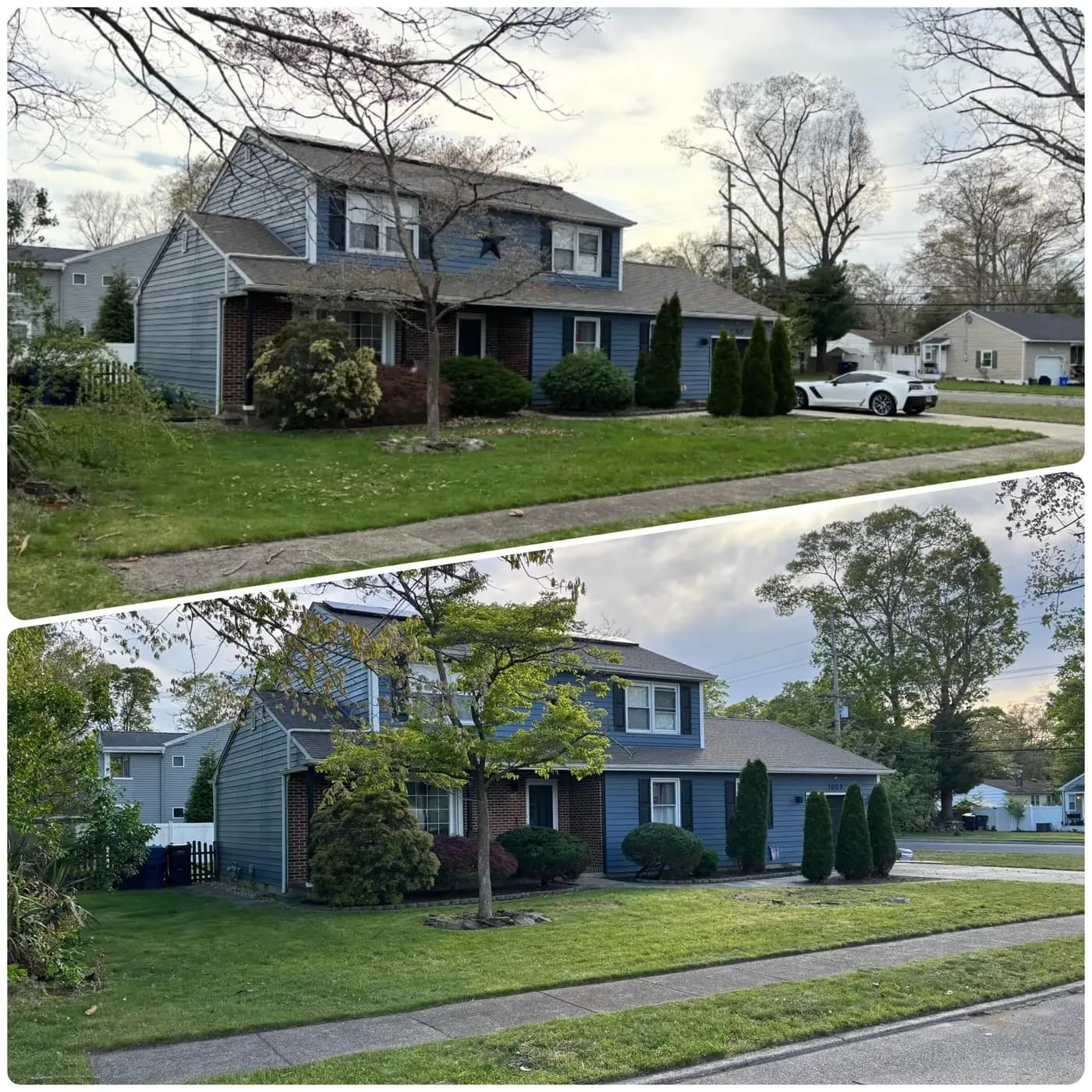 Before-and-after of a regraded South Jersey yard with corrected drainage in Egg Harbor Township, NJ