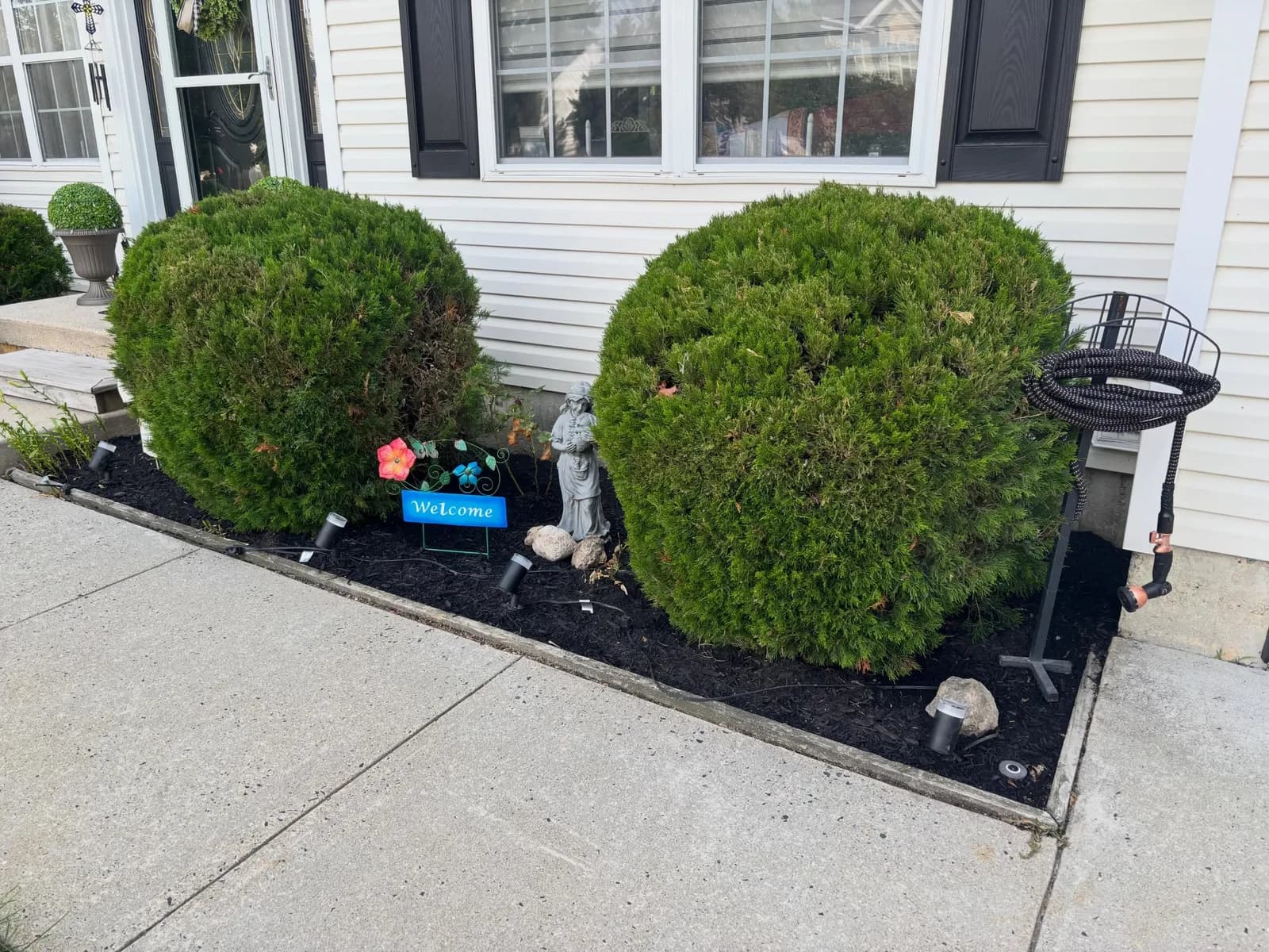 Trimmed round evergreen shrubs in a crisp, freshly black-mulched front foundation bed at a South Jersey home